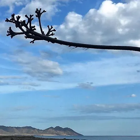 Chill Out Ground Floor Apartm +private Garden+wifi Lejlighed